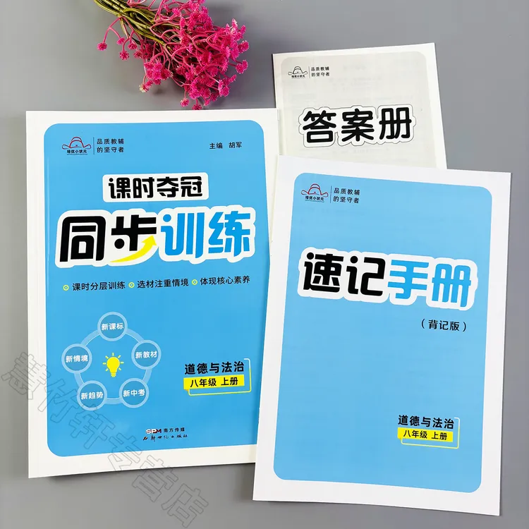 初中八年级上册道德与法治同步训练人教版教材同步练习册一课一练