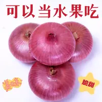 （精品红象）山东新鲜水果扁洋葱可生吃微甜微辣5斤时令蔬菜