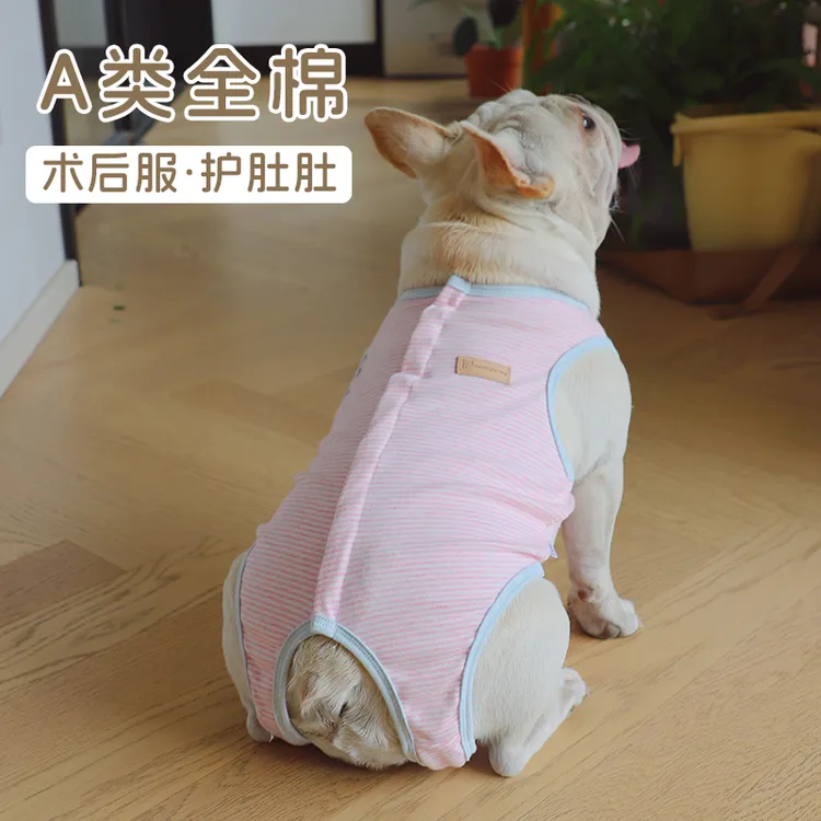 条纹法斗手术服无袖背心四脚衣宠物绝育服护肚手术包肚巴哥狗衣服