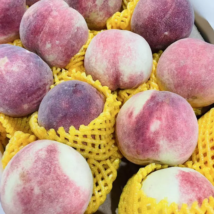 【六妈推荐】金秋蜜桃  香甜多汁桃香浓郁 1件3斤起 辽宁发货