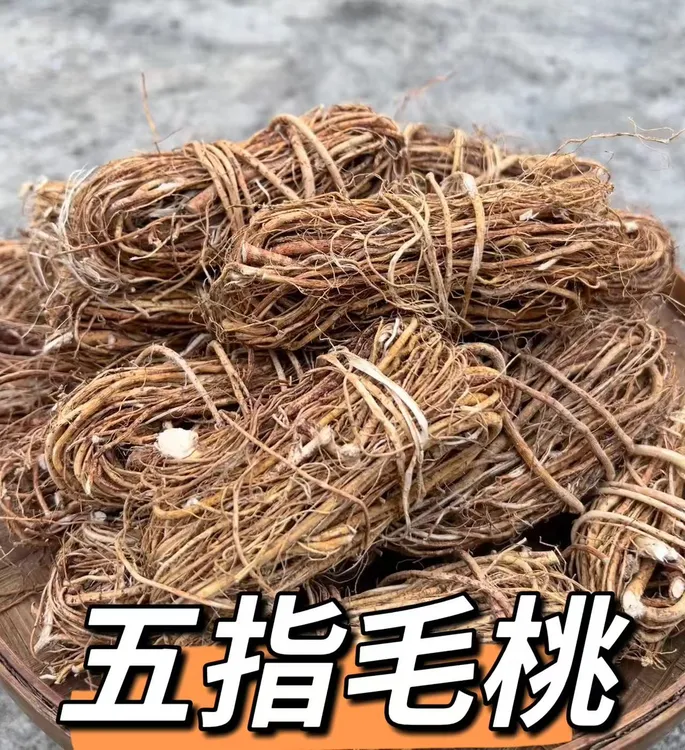 五指毛桃客家特色地道煲汤料胶圈捆扎