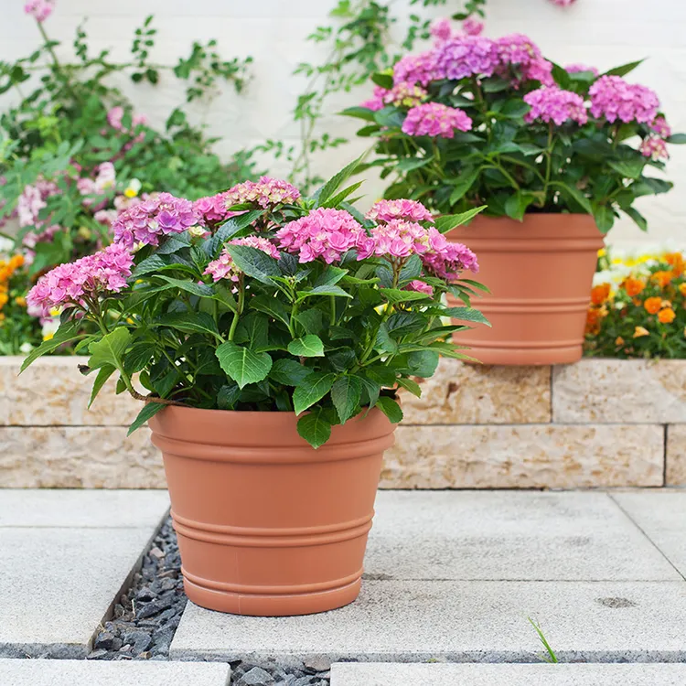 (微瑕无售后)嘉佰莉巴特300凸纹种树大口径塑料加厚花盆清仓捡漏