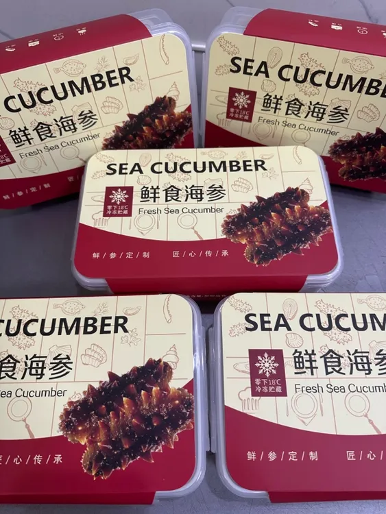 大连辽刺参免泡发口感劲道好吃鲜食海参