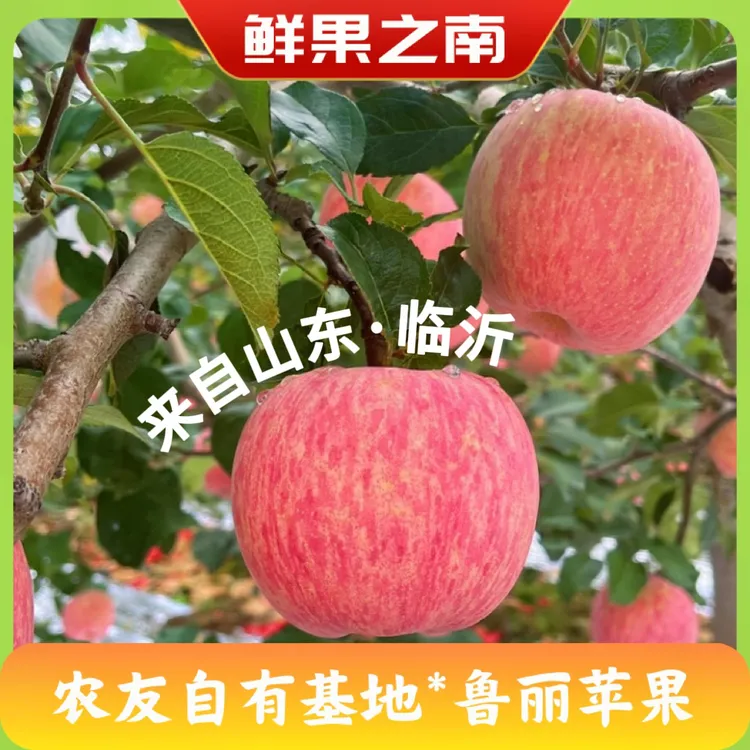 【顺丰包邮】正宗山东鲁丽小苹果脆甜多汁新鲜应季水果