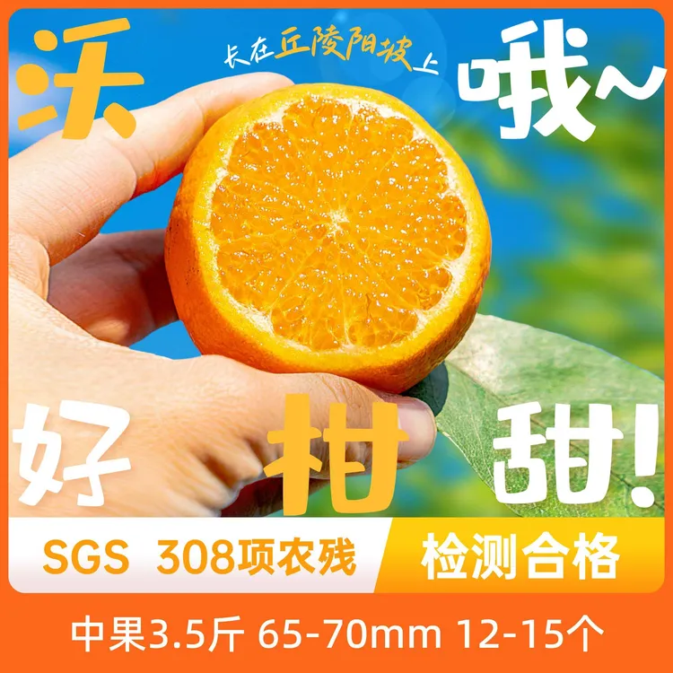 辰颐物语 广西沃柑4.5斤装