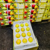【恒泽优选】十八度果缘维纳斯苹果（云南产区）