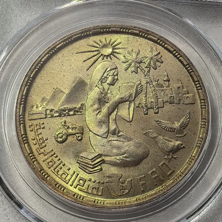 稀有转光Ms66阿拉泊埃圾银币FAO，保真正品