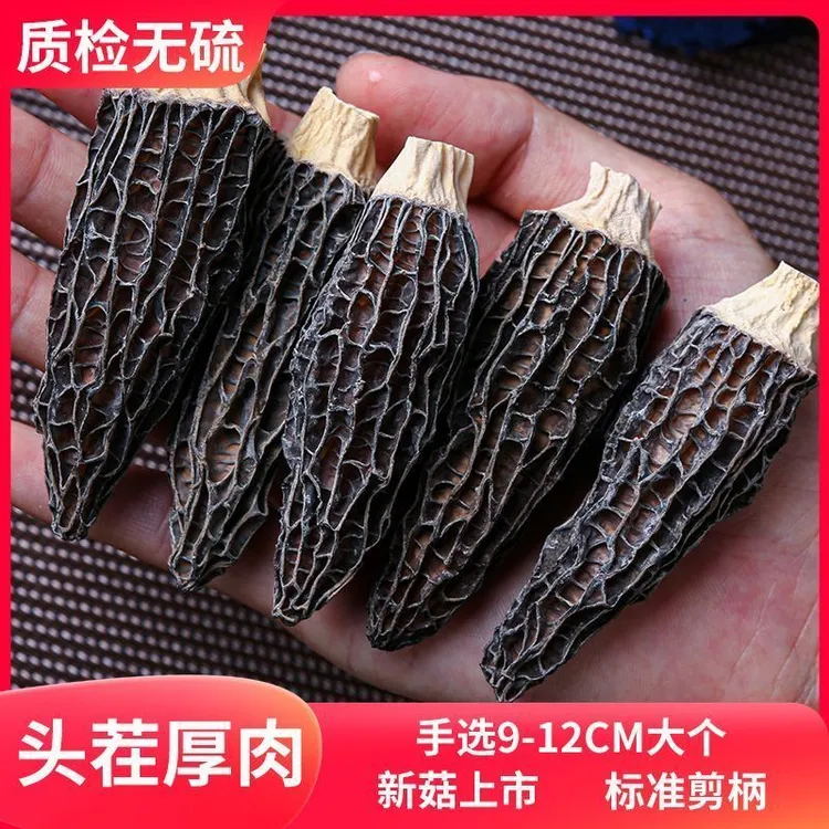 精选正品羊肚菌新鲜干货头茬新货特级菌菇精品箘批发