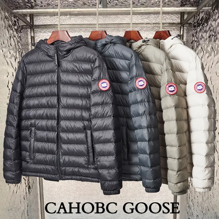 轻薄羽绒服男短款修身情侣爆款连帽白鸭绒排骨外套CAHOBC  GOOSE