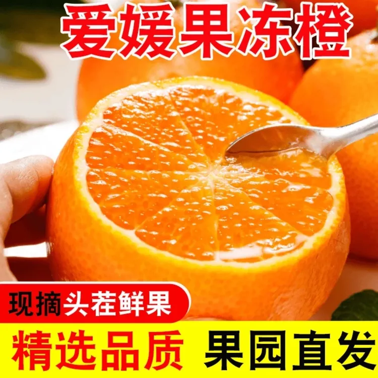 四川爱媛38号果冻橙新鲜采摘香甜多汁手剥橙子水果