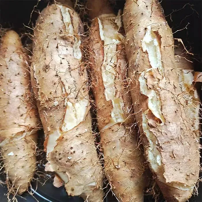 茂名新鲜毛薯白心粉糯香甜山药猪仔薯当季农家好滋味广西发货