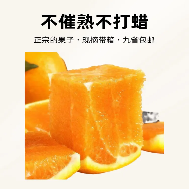 (直播间专拍)江西赣州安远县赣南脐橙带叶果产地新鲜现摘现发十斤