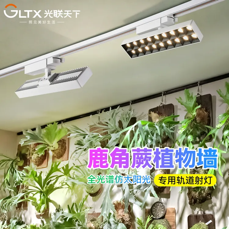 光联天下全光谱植物补光灯鹿角蕨热植专用室内景观植物墙轨道射灯
