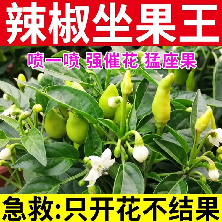 座果辣椒专用辣椒授粉强力座果提高生物座果率全株喷雾水溶肥
