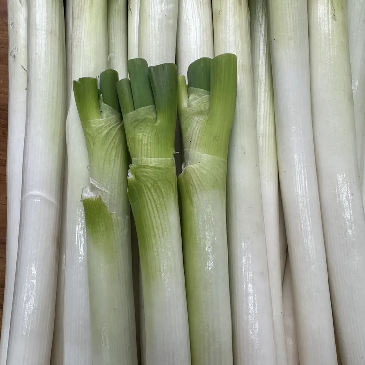 山东铁杆大葱农家特产蔬菜新鲜现挖现发去皮去叶3斤5斤农场优选