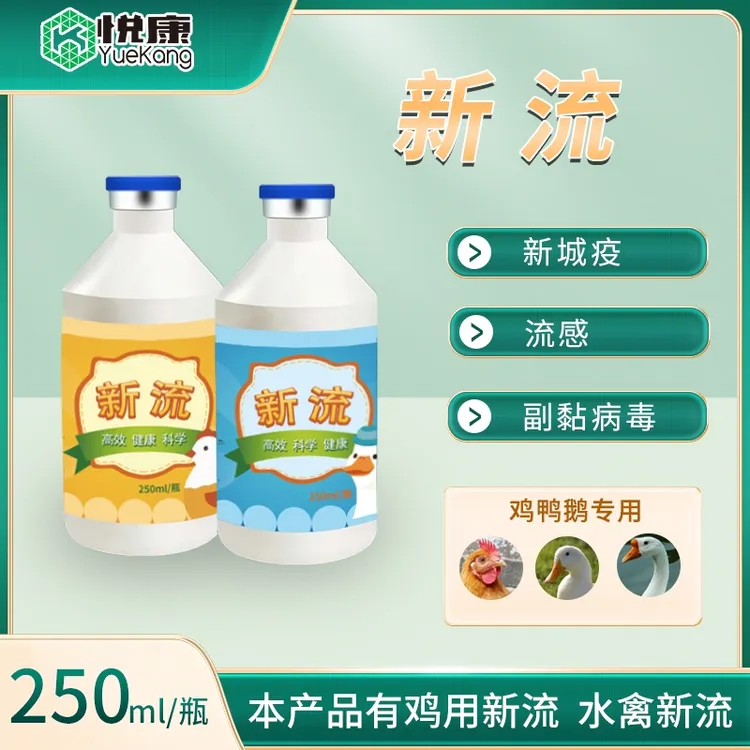 新流 饮水苗 鸡鸭鹅专用 针对流感新城疫副黏 每瓶管1500只