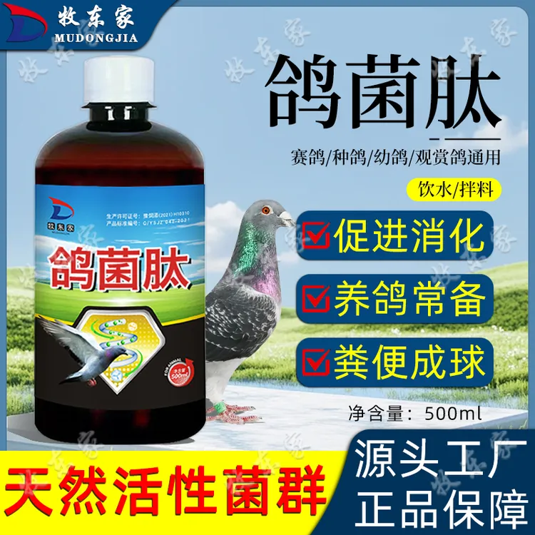 鸽菌肽鸽子专用菌赛鸽幼鸽肉鸽画眉鸟鹦鹉用益生菌活菌赛鸽用品店