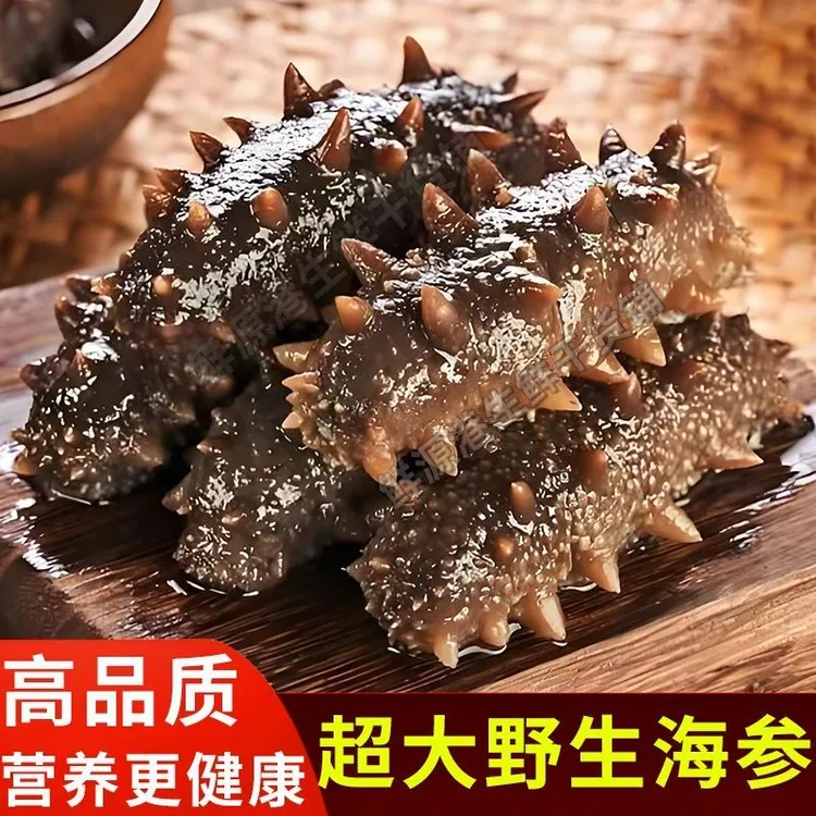 （辽参）大连即食海参鲜食海参Q弹口感送礼佳品