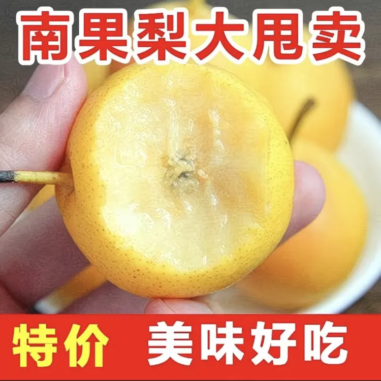 正宗鞍山南果梨辽宁鞍山香甜多汁品质新鲜采摘箱装