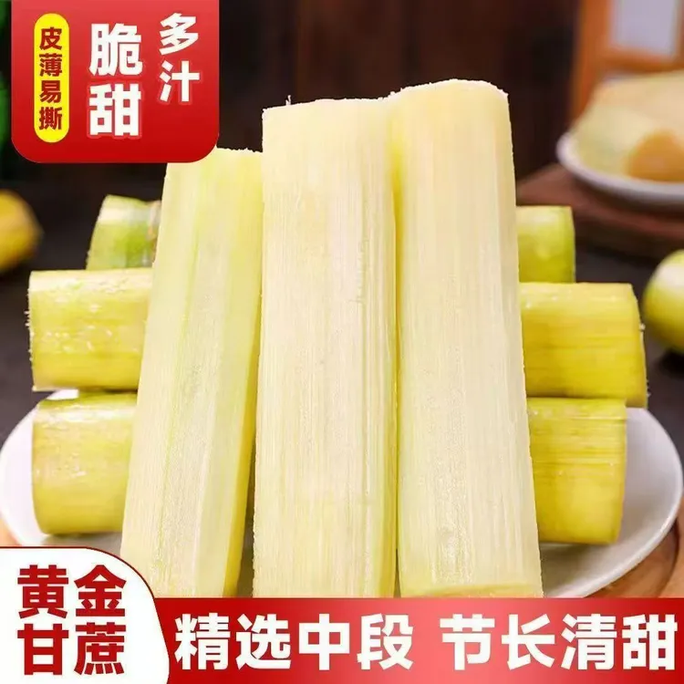 BB云南黄金甘蔗现砍现发清甜多汁新鲜应季水果肉厚皮薄