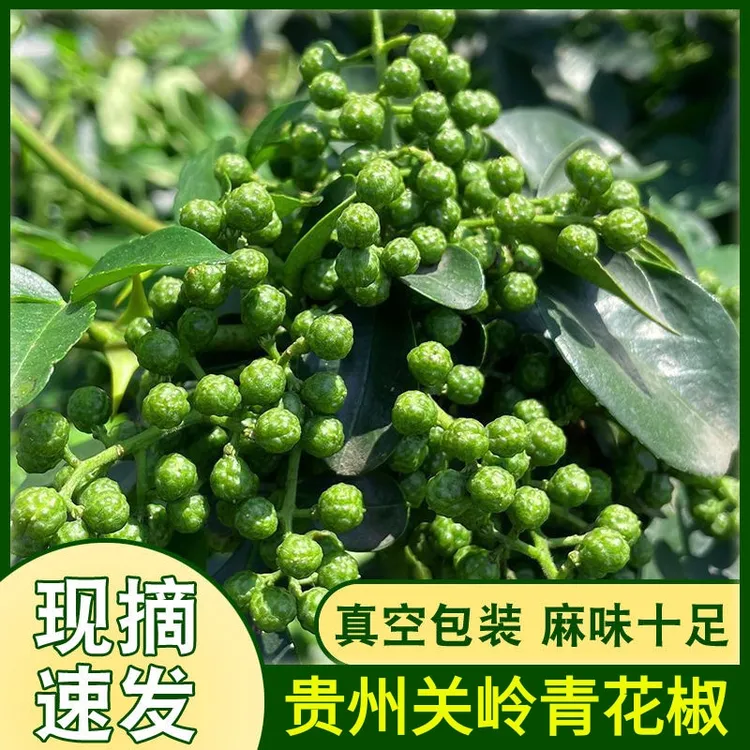 贵州关岭鲜花椒冷冻保鲜特香特麻九叶青花椒现摘真空包装250g/包