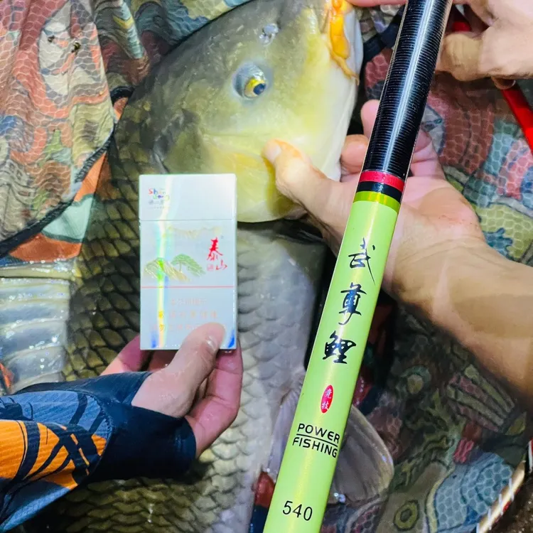 武尊鲤钓鱼竿手竿28调台钓杆19调6超轻硬原装正品高档名牌综合竿