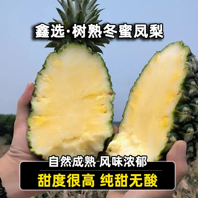 鑫选 海南树熟冬蜜凤梨4-8.5斤应季鲜果香甜多汁 顺丰/京东直发