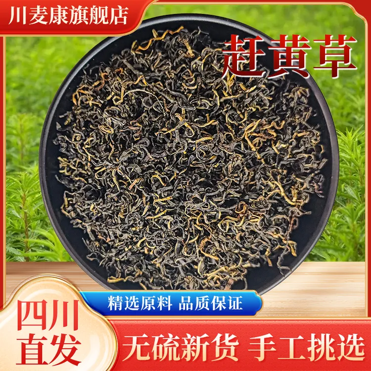 四川古蔺正品赶黄草尖头茬精选泡水茶