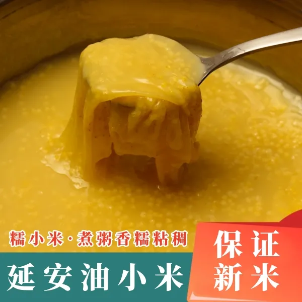 陕北高山农家油小米油香软糯月子米宝宝米产地直发