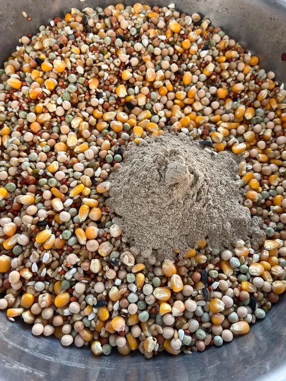 鸽子肠道粉中药信鸽赛鸽水便绿便拉稀呼吸道预防毛滴虫球虫
