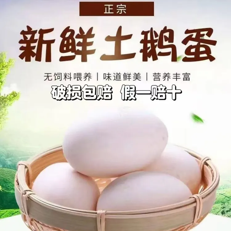 农村散养保真土鹅蛋 一箱12枚 顺丰包邮(破损包赔)