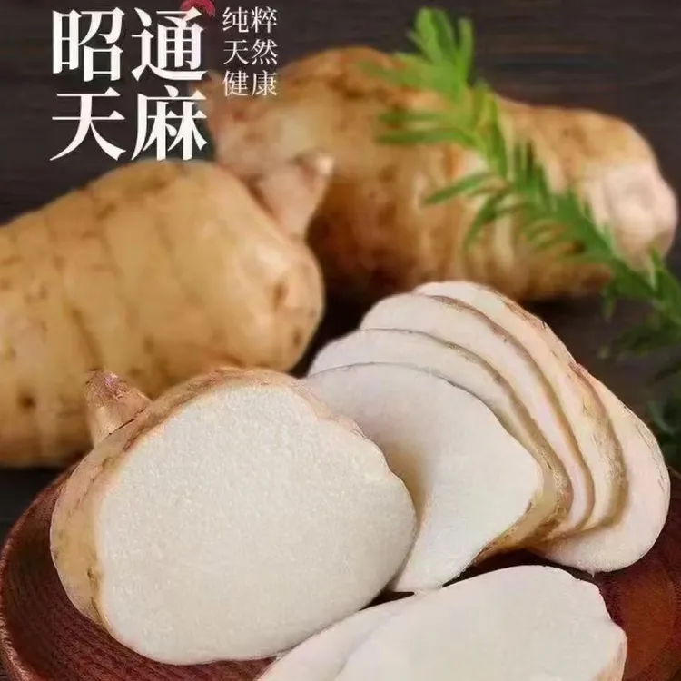 云南小草坝新鲜乌天麻高山种植可煲汤炖肉滋补养生