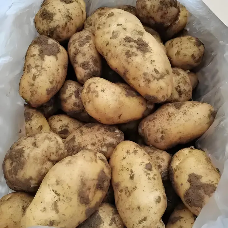 贵州新鲜现挖黄皮黄心土豆土豆洋芋农家高山蔬菜