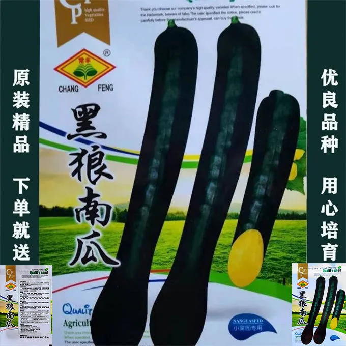 {}新品南瓜种子高产特长甜面长吊南瓜种子黑狼南瓜大王四季蔬