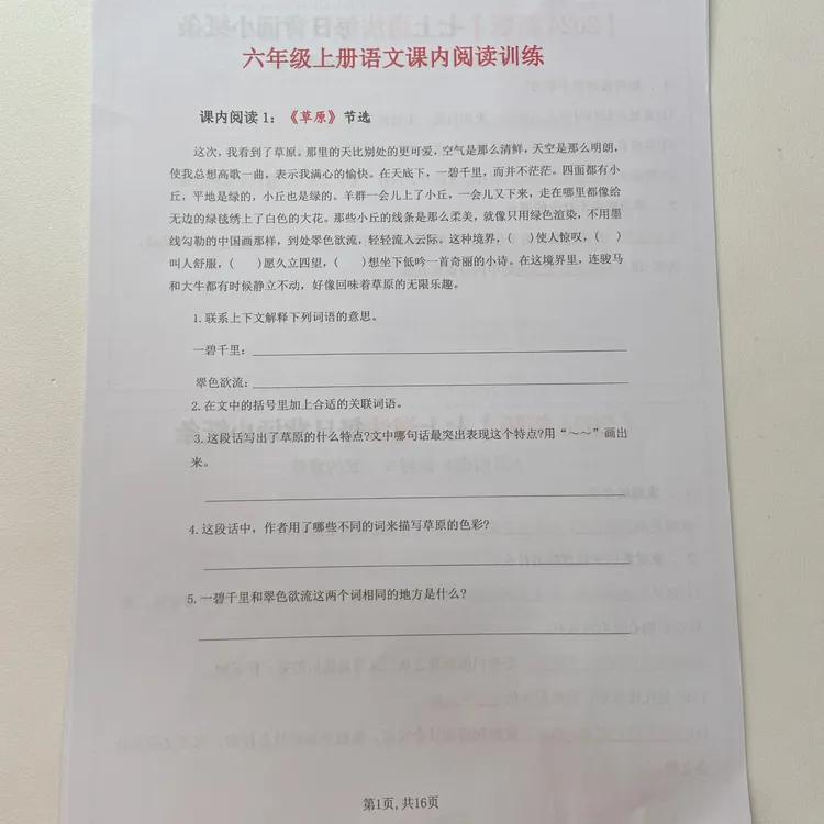 2025秋季新版六年级（上册）语文课内阅读专项训练含答案