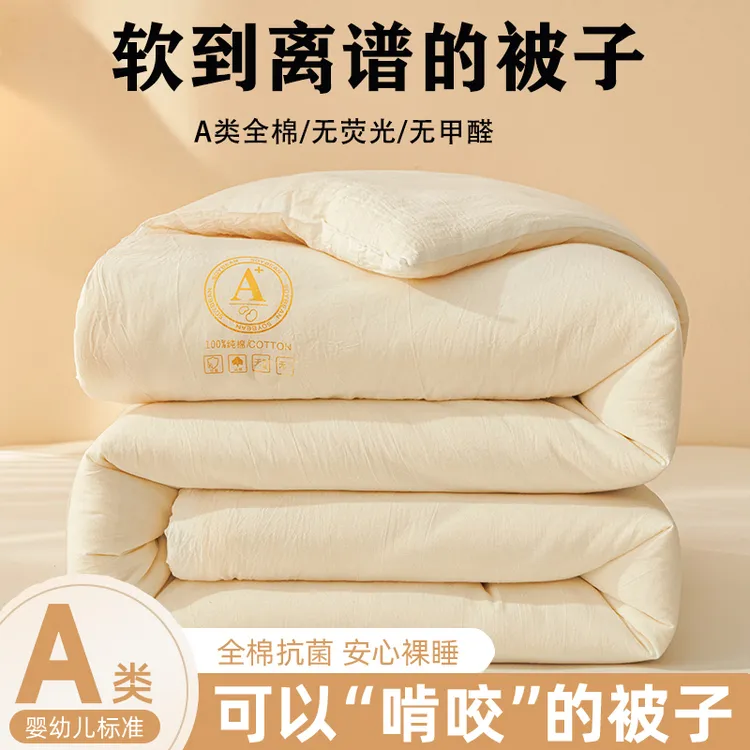 A类母婴纱布大豆蛋白纤维被春秋被冬被被芯四季通用被子学生宿舍