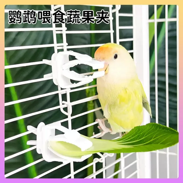 墨鱼骨夹子鹦鹉多功能蔬菜水果零食夹谷穗鸟笼坚果固定架塑料夹子