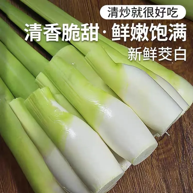 现摘茭白新鲜带壳茭瓜高笋水笋茭笋酒店食材鲜嫩爽口