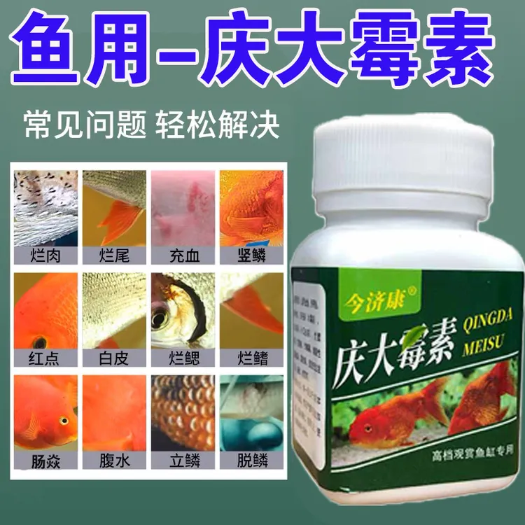 庆大霉素鱼缸专用水族白点水霉立鳞蒙眼烂尾翻肚观赏鱼黄粉通用
