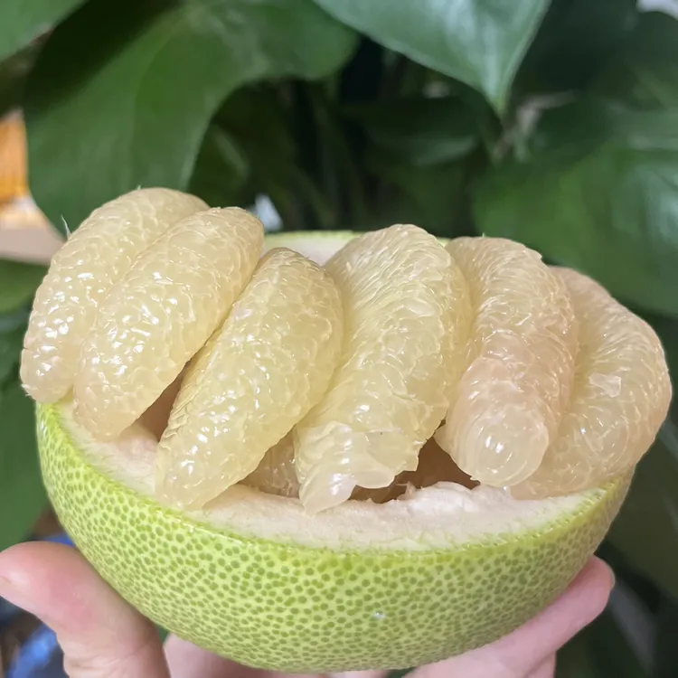 福建莆田文旦柚新鲜应季红心蜜柚酸甜多汁