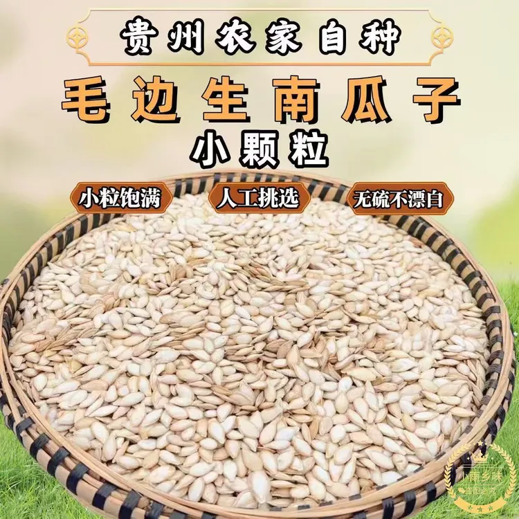 农家小颗粒南瓜子农村自种新鲜原味毛边小南瓜子带壳原味25年新货