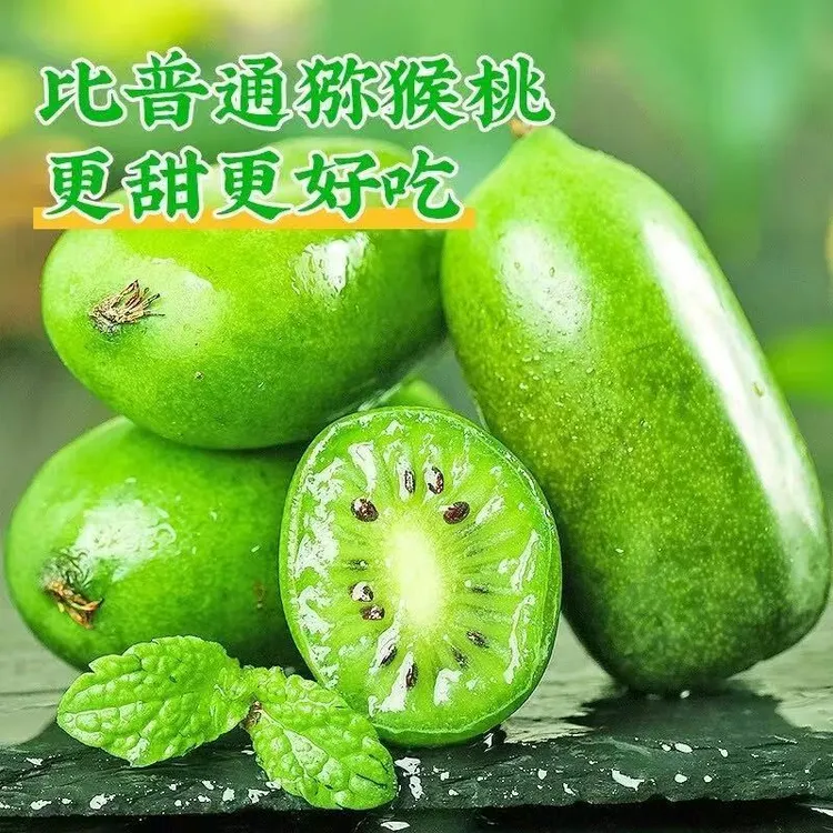 【净重2斤】丹东软枣猕猴桃奇异莓