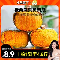 【香甜粉面】板栗味贝贝南瓜净重4.5斤单果350g+ 水瓜包赔XB
