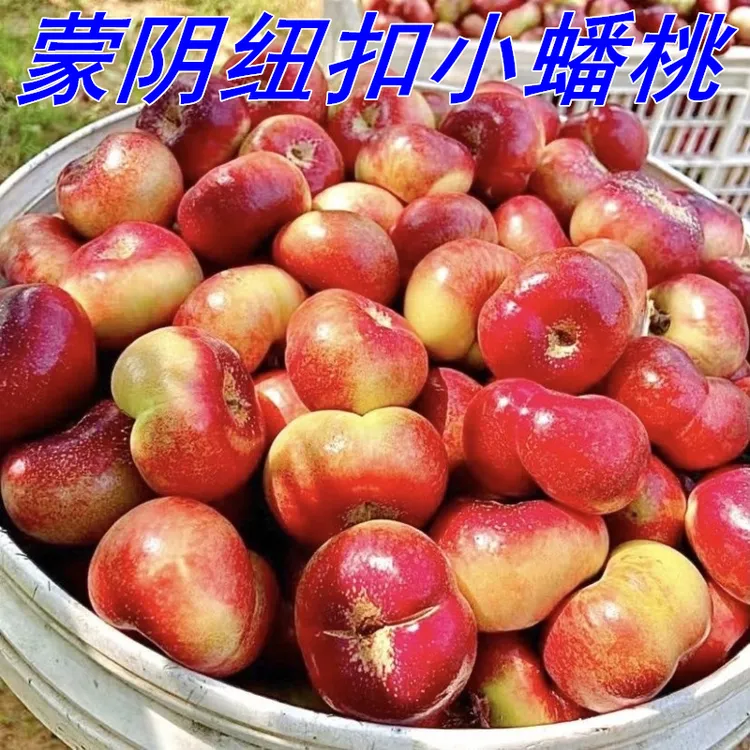 纽扣蟠桃现摘现发山东临沂蒙阴蜜桃时令应季新鲜水果脆甜油扁桃子
