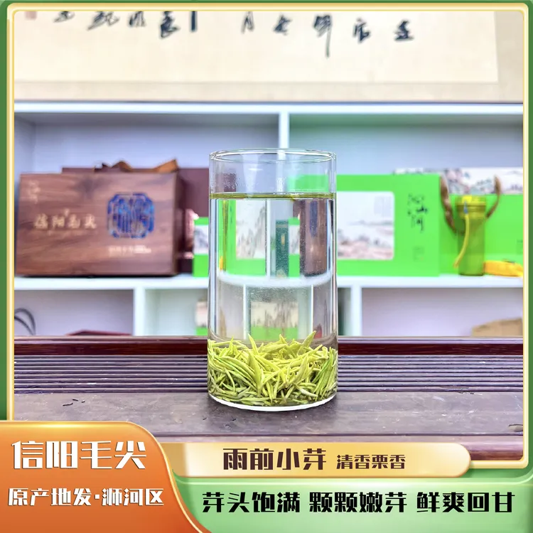 2025信阳毛尖【雨前小芽】头采栗香鲜爽回甘嫩芽头毛尖茶茶叶绿茶