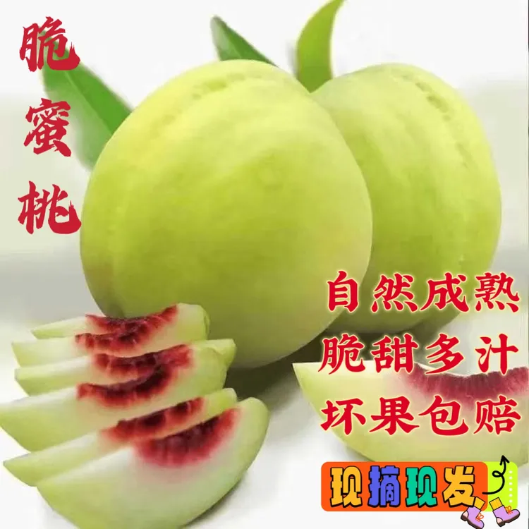 青皮脆蜜桃青脆桃脆甜硬桃当季新鲜水果脆甜毛桃冬桃现摘现发