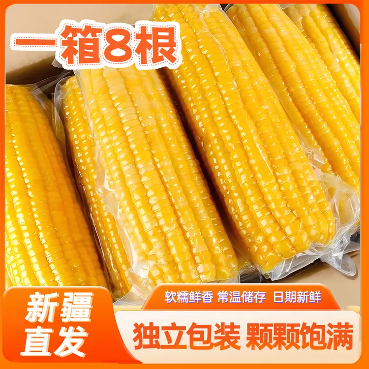 【糯玉米】试吃两根全疆包邮头茬香甜糯玉米软糯黏玉米整箱8支饱腹