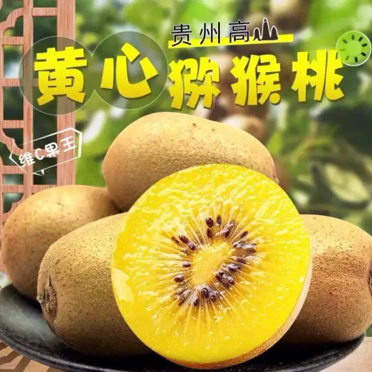 贵州高山新鲜当季黄心猕猴桃奇异果新鲜水果香甜孕妇现摘现发包邮