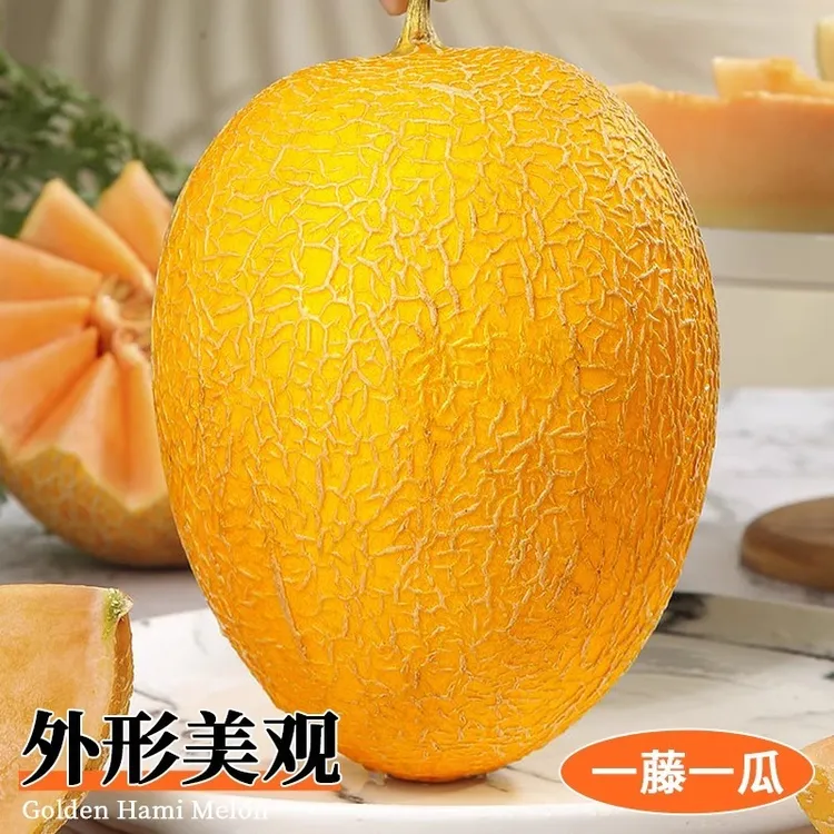 海南黄金蜜瓜哈密瓜新鲜老汉水果网纹瓜香瓜黄河蜜瓜应季老汉水果