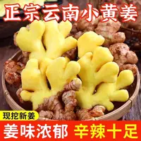 【涛涛助农】正宗高山小黄姜老姜新鲜现挖现发